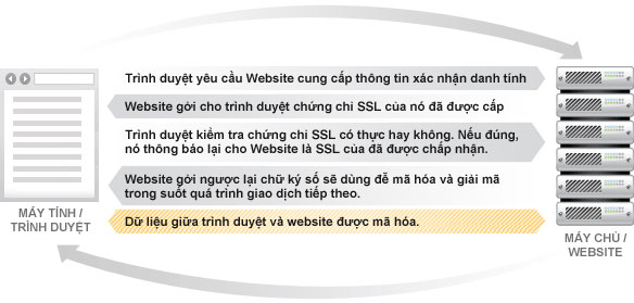 Chứng chỉ SSL hoạt động như thế nào?